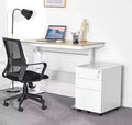 3 Drawer Mobile Filing Cabinet Lockable Steel Under Desk Storage White UK